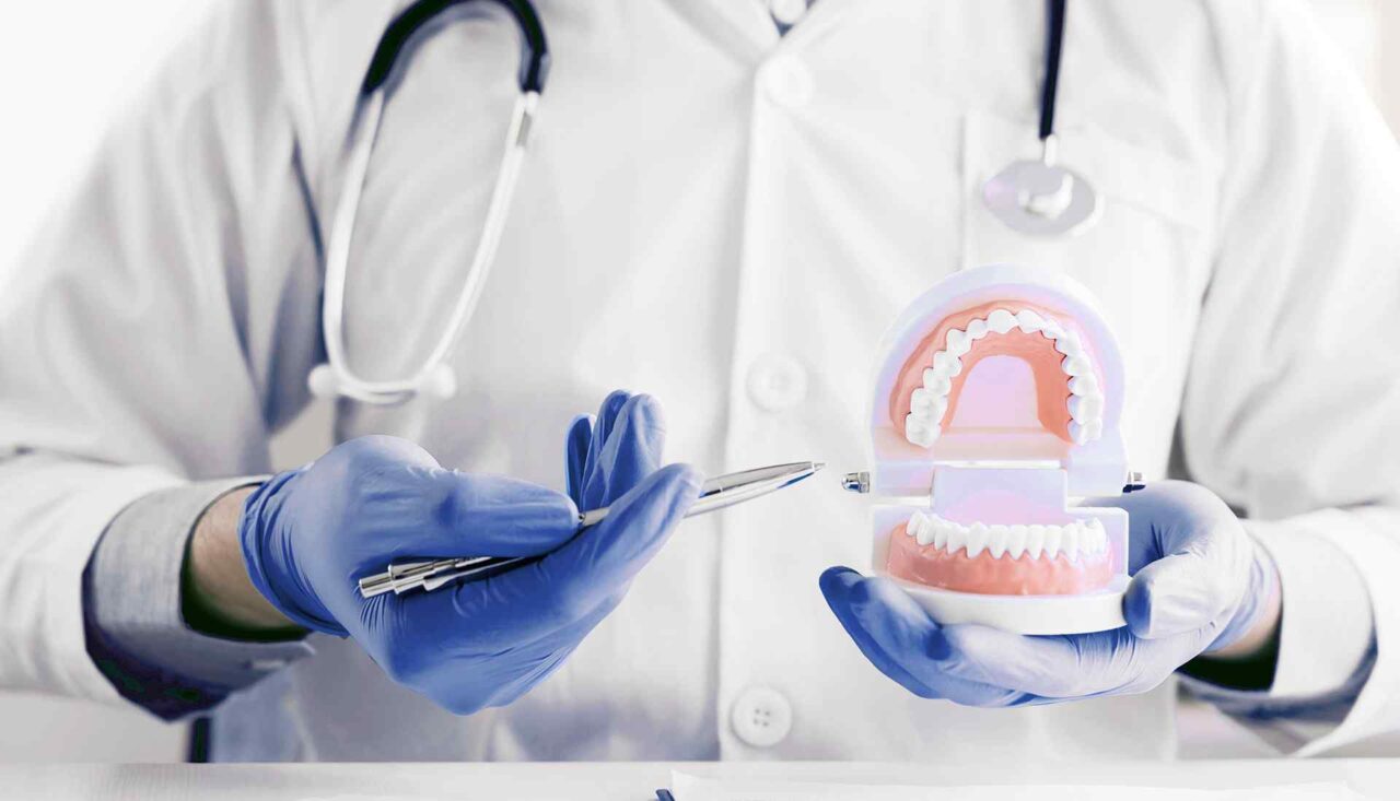 A dentist holding a tooth model and a pair of blue gloves.
